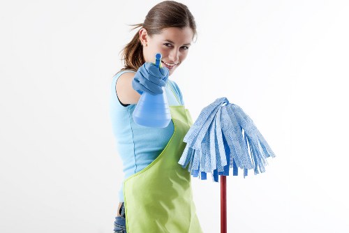 Professional carpet cleaning in a Whitechapel home living room
