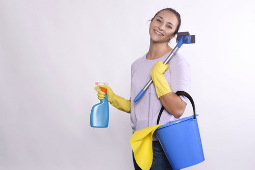Professional carpet cleaning booking and service confirmation concept